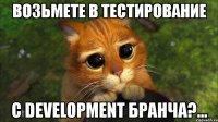 возьмете в тестирование с development бранча?...