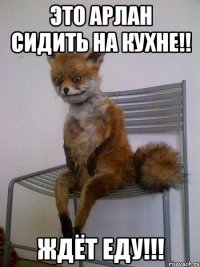 это арлан сидить на кухне!! ждёт еду!!!