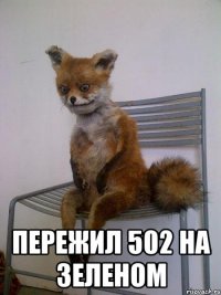  пережил 502 на зеленом