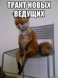 тракт новых ведущих 