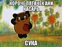 короче пятачек ани касарь сука