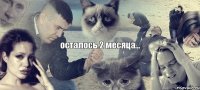 осталось 2 месяца...