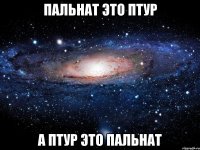 пальнат это птур а птур это пальнат