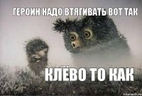 героин надо втягивать вот так клёво то как