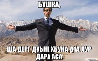 бушка, ша дерг дуьне хьуна д1а лур дара аса