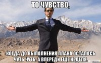 то чувство, когда до выполнения плана осталось чуть чуть. а впереди еще неделя.