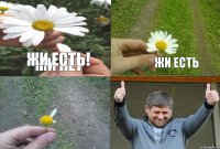 Жи есть Жи нет ЖИ ЕСТЬ!