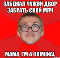 забежал чужой двор забрать свой мяч мама, i'm a criminal