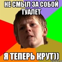 не смыл за собой туалет я теперь крут))