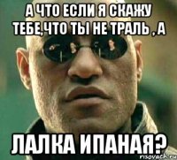 а что если я скажу тебе,что ты не траль , а лалка ипаная?