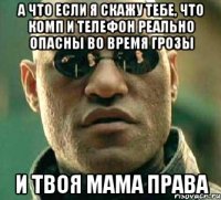 а что если я скажу тебе, что комп и телефон реально опасны во время грозы и твоя мама права