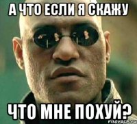 а что если я скажу что мне похуй?