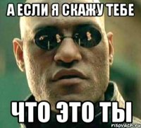 а если я скажу тебе что это ты