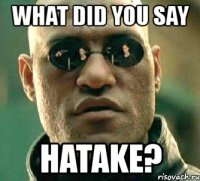 what did you say hatake?