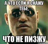 а что если я скажу тебе, что не пизжу