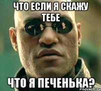 что если я скажу тебе что я печенька?