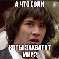 а что если коты захватят мир?