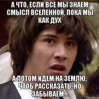 а что, если все мы знаем смысл вселенной, пока мы как дух а потом идем на землю, чтоб рассказать, но забываем...