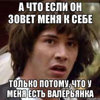 а что если он зовет меня к себе только потому, что у меня есть валерьянка