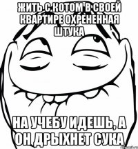 жить с котом в своей квартире охрененная штука на учебу идешь, а он дрыхнет сука