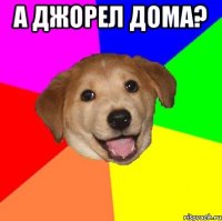 а джорел дома? 