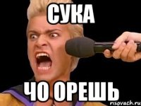 сука чо орешь