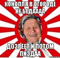 конопля в огороде не бедаааа дозреет и потом пиздаа