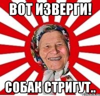 вот изверги! собак стригут..