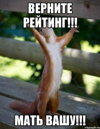 верните рейтинг!!! мать вашу!!!