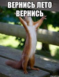 вернись лето вернись 