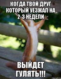 когда твой друг который уезжал на 2-3 недели выйдет гулять!!!