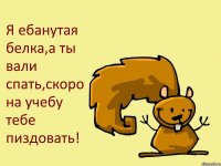 Я ебанутая белка,а ты вали спать,скоро на учебу тебе пиздовать!