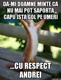 da-mi doamne minte ca nu mai pot saporta capu ista gol pe umeri ...cu respect andrei