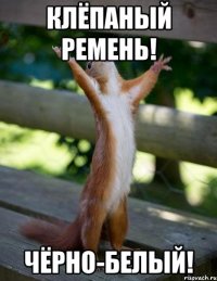 клёпаный ремень! чёрно-белый!