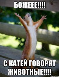 божеее!!! с катей говорят животные!!!