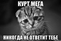 курт мега никогда не ответит тебе