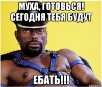 муха, готовься! сегодня тебя будут ебать!!!