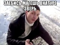 заебись магешь внатуре зверь 