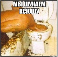 мы шукаем ксюшу 