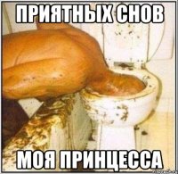 приятных снов моя принцесса