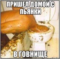 пришел домой с пьянки в говнище