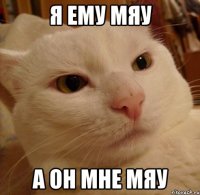 я ему мяу а он мне мяу