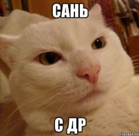 сань с др