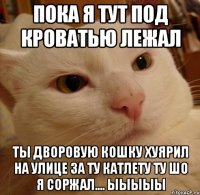 пока я тут под кроватью лежал ты дворовую кошку хуярил на улице за ту катлету ту шо я соржал.... ыыыыы