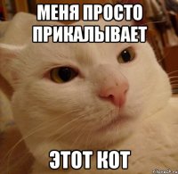 меня просто прикалывает этот кот
