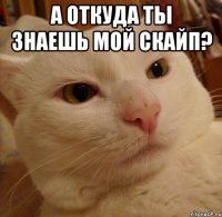 а откуда ты знаешь мой скайп? 