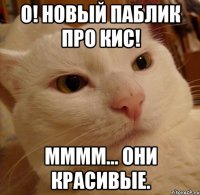 о! новый паблик про кис! мммм... они красивые.