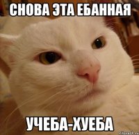 снова эта ебанная учеба-хуеба