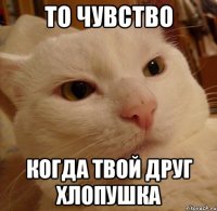 то чувство когда твой друг хлопушка