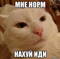 мне норм нахуй иди